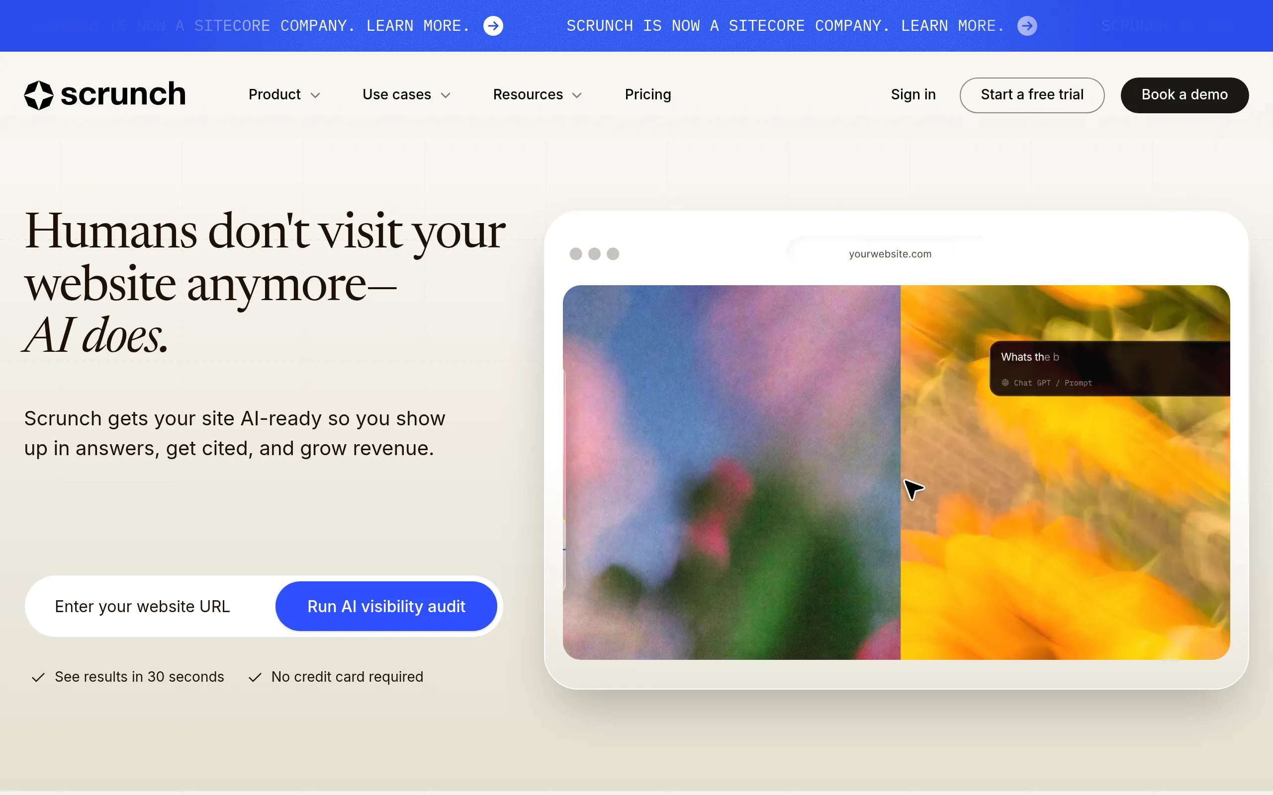 scrunch-ai-brand-perception-and-sentiment-tracking