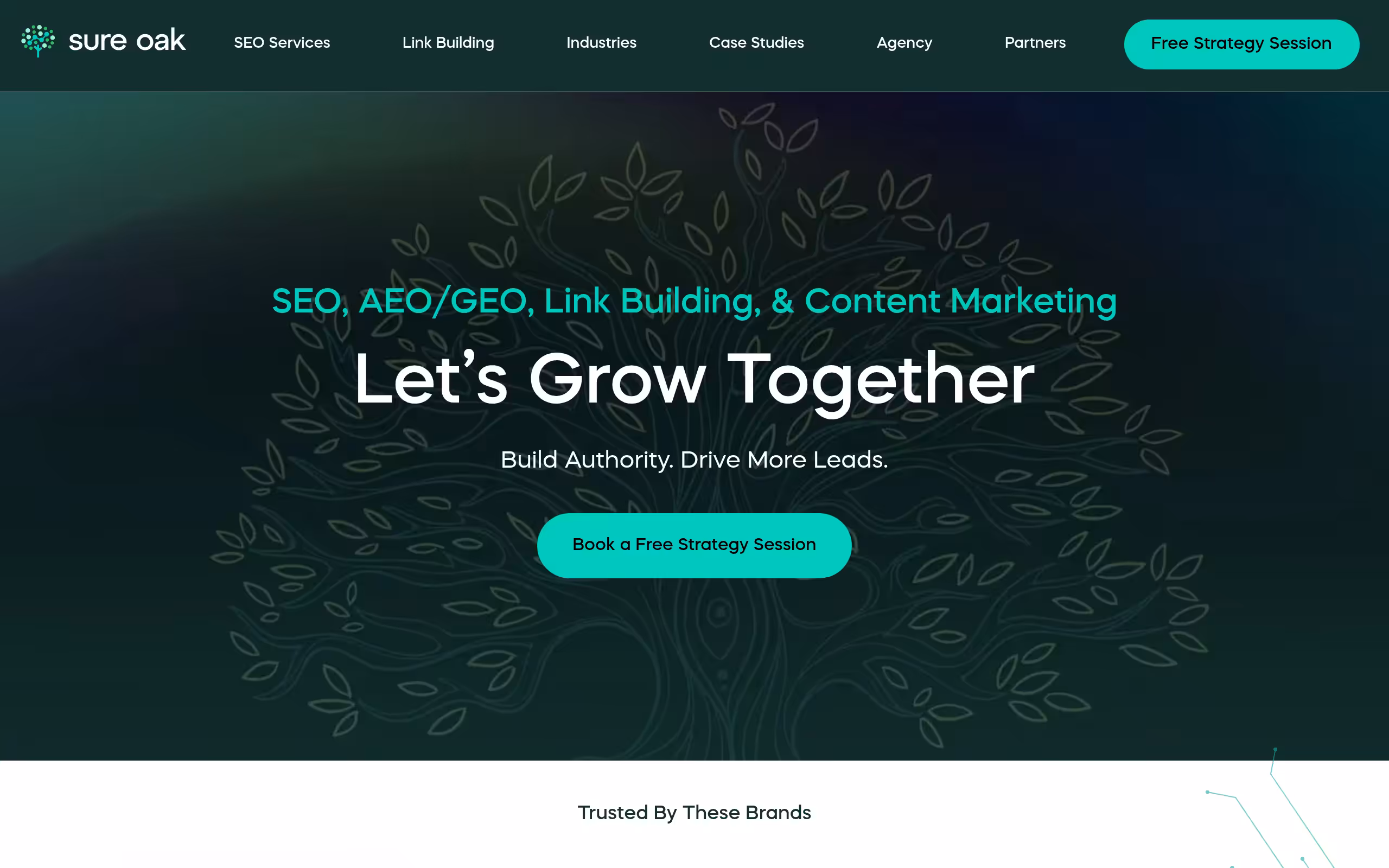Sure oak multi service link building and SEO homepage