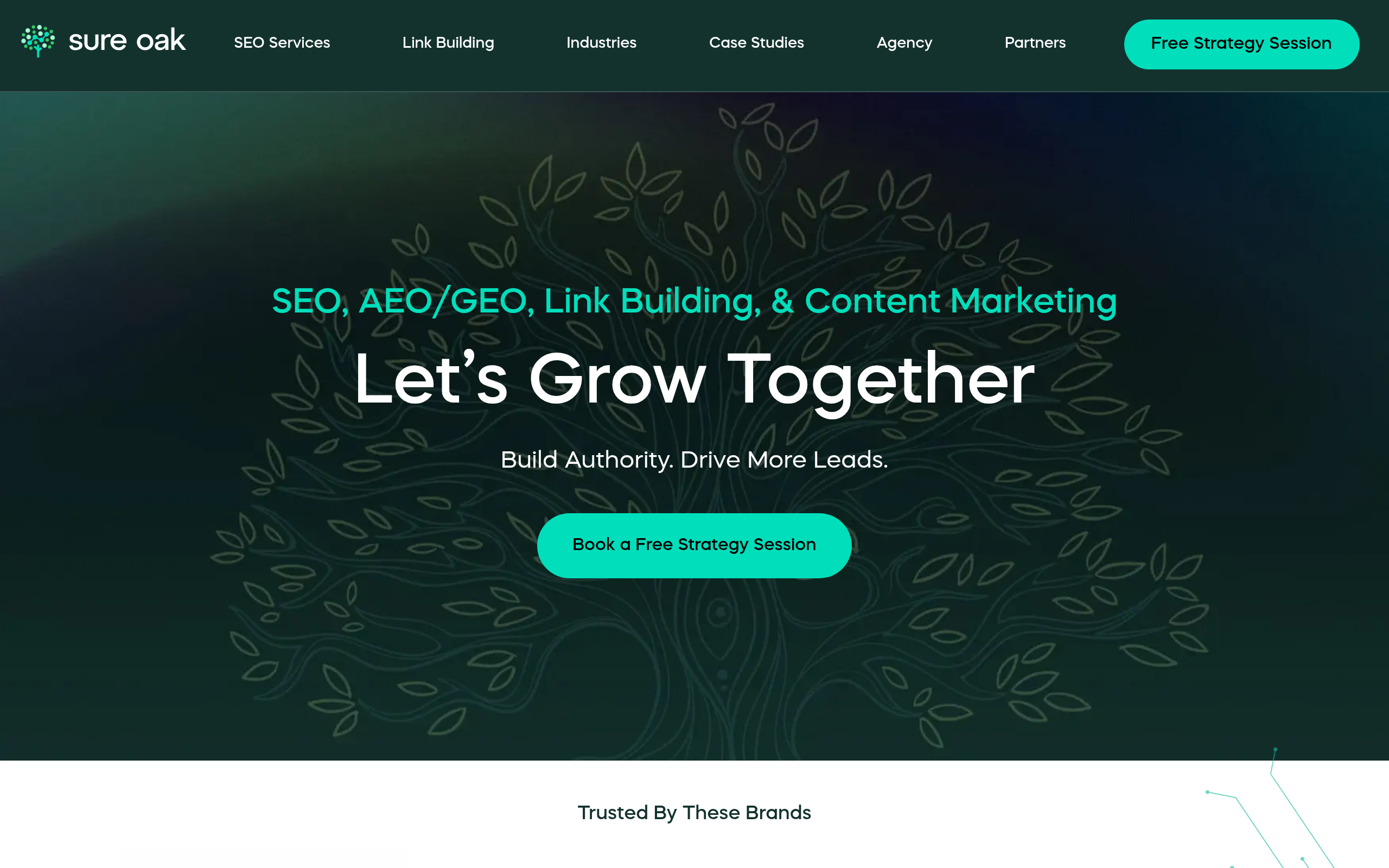 sure-oak-multi-service-link-building-and-seo-homepage